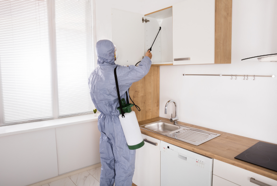 pest-control-brampton