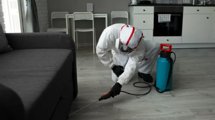 indoor-pest-prevention