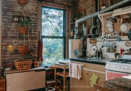 pest infestation food safety