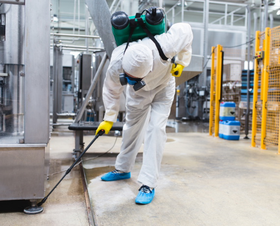 pest-control-brampton