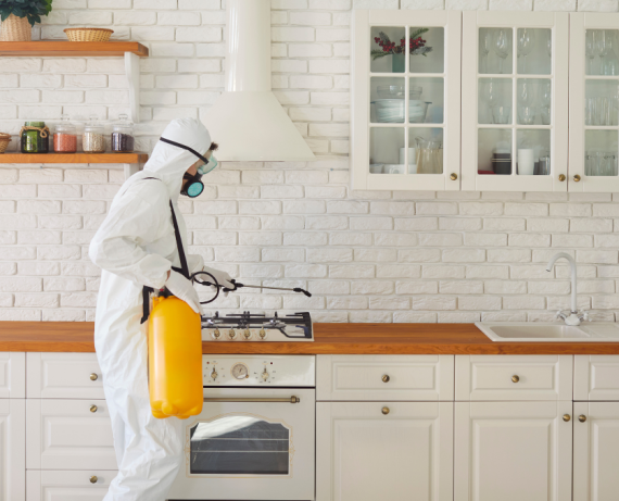 pest-control-brampton